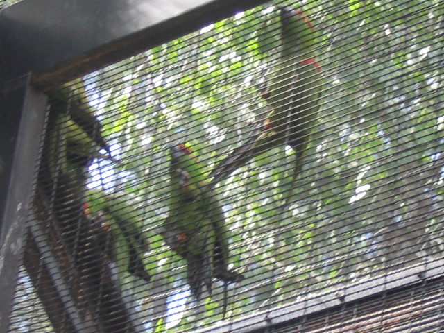 618x457 pixels (246K)